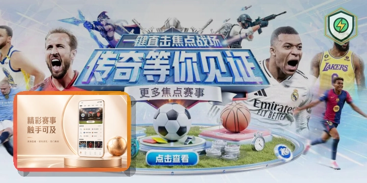 发展历程与品牌成长